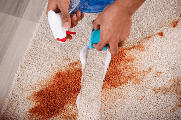 rug cleaning services in bradford